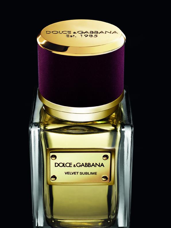 dolce and gabbana velvet collection